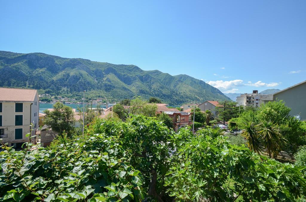 Apartments Ceklin Kotor Ngoại thất bức ảnh